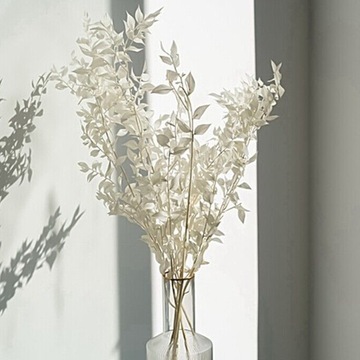Сушеный беленый Рускус Natural Beauty Букет Белого Рускуса