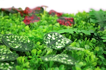 Зеленый настенный коврик, панель с растениями, искусственная изгородь, вертикальный садовый чехол