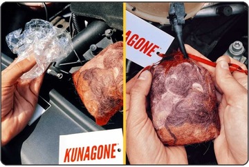 КУНАГОНЕ для автомобиля, отпугиватель куниц и грызунов, 6 шт.