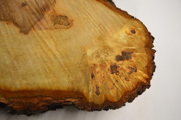 Разделочная доска для подноса ломтик каштана 46х32гр5см