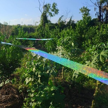 Лента отпугивающая птиц, скворцов, голубей, ворон, 50 м