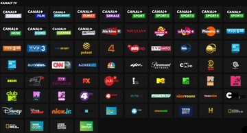 Онлайн-сервис C+ Canal+ с развлечениями и новостями на 12 месяцев Canal+ Box 4K Android TV