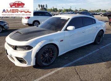 Dodge Charger VII 2021 Dodge Charger Scat Pack 2021 6.4l 6.4 Benzyna 485KM