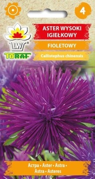 Aster wysoki igiełkowy FIOLETOWY nasiona 1g