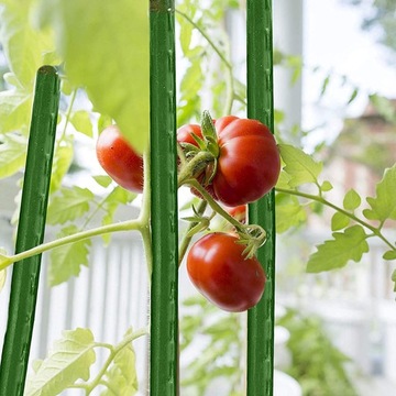 Tyczka DO POMIDORÓW ROŚLIN 0,8x90cm stal 10 szt.