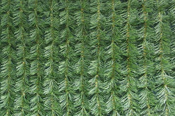 Столбовое освещение, ангельское светодиодное освещение wz.29