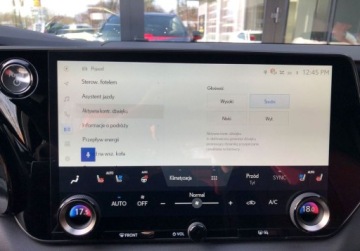 Lexus RX V 2025 Lexus RX RX 500h F Sport Dach Panoramiczny FV23 Matowa Folia PPF 1wl, zdjęcie 21