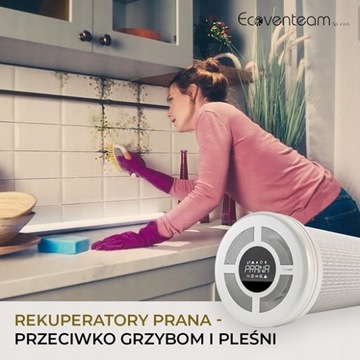 REKUPERATOR ŚCIENNY PRANA ORIGAMI 200G STANDARD