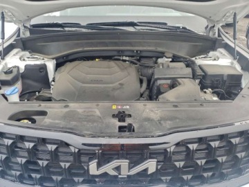 Kia 2024 Kia Telluride SX 2024 3.8 Benzyna 291KM, zdjęcie 6