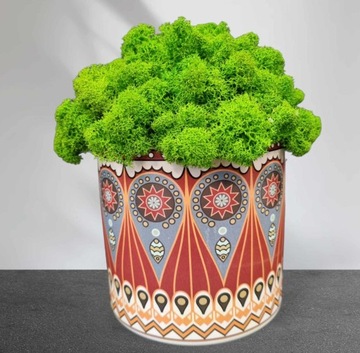 ЧЕРБО МОХ В ГОРШКЕ