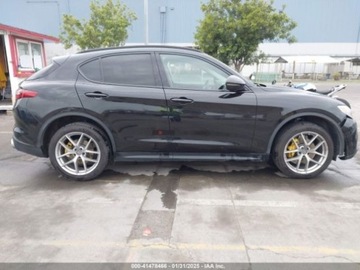 Alfa Romeo Stelvio SUV 2.0 Turbo 280KM 2019 Alfa Romeo Stelvio 2019 ALFA ROMEO STELVIO SPORT AWD 2.0 Benzyna 280KM, zdjęcie 7
