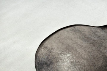 Ковер Искусственная Коровья Кожа G5067-4 Серая кожа 155x195 см