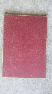 ТОМЕК СРЕДИ ОХОТНИКОВ ЗА ДОСАМИ