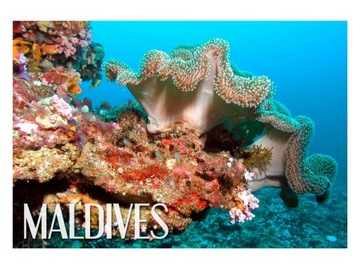 MALEDIWY - Ocean - Rafa - Magnes na lodówkę