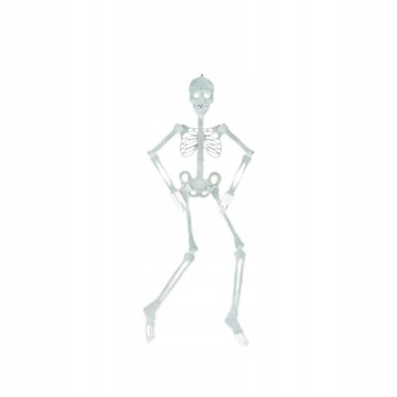 СКЕЛЕТ ЧЕЛОВЕКА 90см СКЕЛЕТ ДЛЯ ХЭЛЛОУИНА LED
