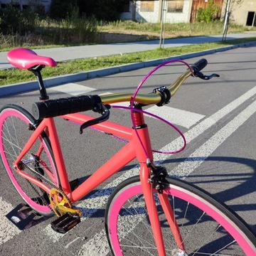 MALINOWA RADOĆ Односкоростной велосипед с фиксированной передачей 53