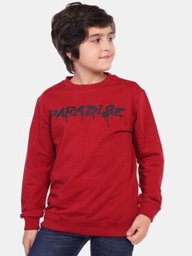 Bluza chłopięca dresowa bawełniana bordowy 140-146
