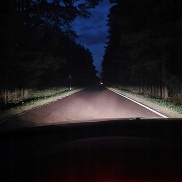 H7 ЛАМПОЧКИ 12В 100ВТ MARBA LIGHT БЕЛЫЙ ЭФФЕКТ + W5W