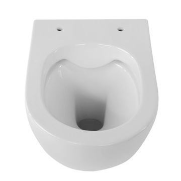 ПОДВЕСНОЙ УНИТАЗ БЕЗОБОДКИ MIZU БЕЛЫЙ МЕДЛЕННО ЗАКРЫВАЮЩИЙСЯ СИДЕНЬЕ ДЛЯ УНИТАЗА ДЮРОПЛАСТ