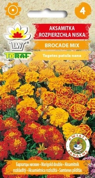 TORAF Aksamitka rozpierzchła Brocade 1g