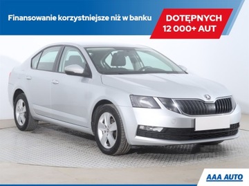 Skoda Octavia 1.6 TDI, Salon Polska