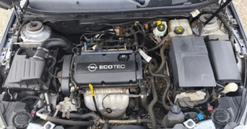 Opel Insignia I Sports Tourer 1.8 Twinport ECOTEC 140KM 2009 Opel Insignia Opel Insignia 1.8 Benzyna 140KM, zdjęcie 36