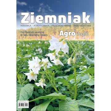Ziemniak pyra: uprawa, odmiany; bryza, denar, gala