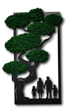 Drzewko bonsai z mchem mech chrobotek dowolna konfiguracja rodziny