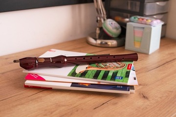 ДЕРЕВЯННАЯ ШКОЛЬНАЯ ФЛОТКА ФЛЕЙТА HOHNER-9555 ренессанс