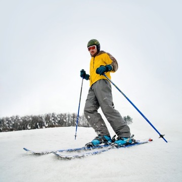 ЛЫЖНЫЕ КОЛЕСА SKICART КОЛЕСА КОМФОРТНЫЙ ТРАНСПОРТ