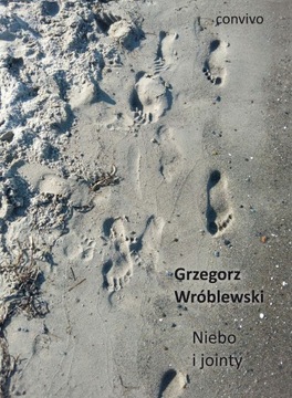 Grzegorz Wróblewski, Niebo i jointy