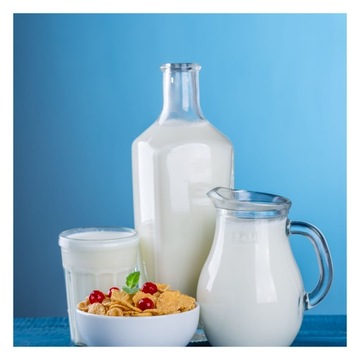 PODUSZECZKI PODUSZKI ZBOŻOWE CZEKOLADOWE 1 KG ŚNIADANIOWE ZDROWE ZIARNO