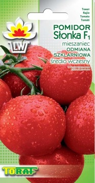 POMIDOR SZKLARNIOW ŚREDNIO WCZESNY SŁONKA F1 TORAF