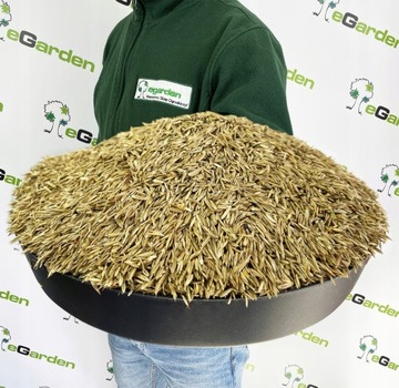 Трава с МИКРО КЛЕВЕРОМ 1 кг Самоопыляющийся клевер Засухоустойчивый 40м2