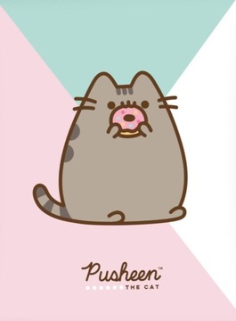 OGROMNY KOC PUSHEEN THE CAT PUSHEEN Z DONUTEM ORYGINAŁ LICENCJA 150x200