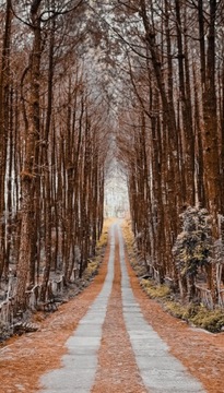 ПОСТЕР по фотографии - EPSON Premium матовый принт 40х60 см