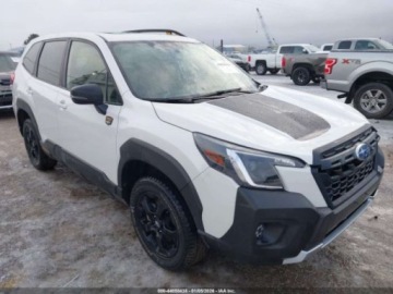 Subaru Forester V 2023 Subaru Forester Wilderness 2023 2.5 Benzyna 182KM, zdjęcie 4