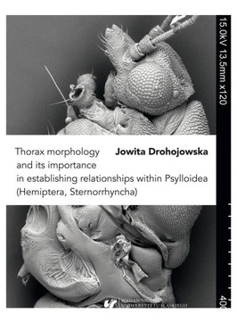 THORAX MORPHOLOGY AND ITS IMPORTANCE IN ESTABLISHING RELATIONSHIPS WITHIN P