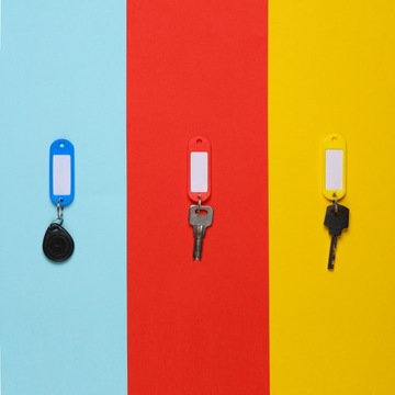 ИДЕНТИФИКАЦИОННЫЕ КЛЮЧИ, КЛЮЧИ, 100 ШТ, СМЕШАННЫЕ ЦВЕТА