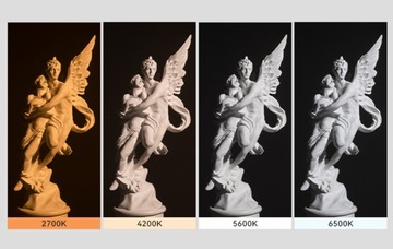 Светодиодные лампы для фотосъемки YONGNUO YNLUX200 с двойной цветовой температурой
