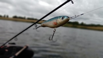 Dayer Drifter - Wobler Jerk Slider - 10см 30G - джунгли - DD17