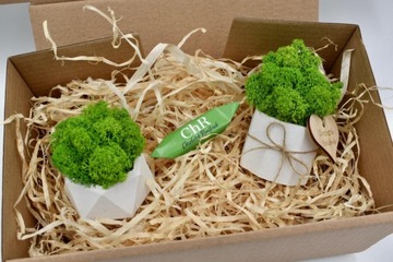 Подарочный набор «Рубильный лес»