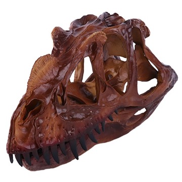 Czaszka dinozaura Głowa ceratozaura Szkielet Ryby akwariowe