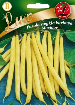 FASOLA SZPARAGOWA MAXIDOR ŻÓŁTA 50 G WCZESNA BEZ WŁÓKIEN