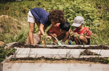 НАБОР ИНСТРУМЕНТОВ FISKARS SOLID 4 + ПРЕДОХРАНИТЕЛЬ P321