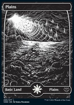 Karta Magic: The Gathering Plains (V.2) WIZARDS OF THE COAST