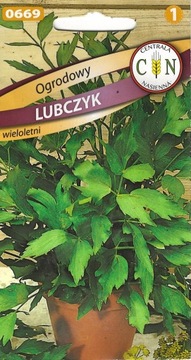 Lubczyk ogrodowy maggi wspaniała do zup rosołu