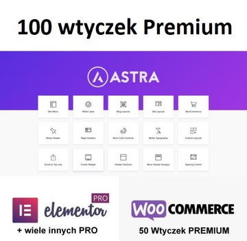 Wtyczka (plugin) Astra Pro Addon. WordPress