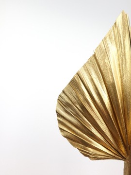 Пальмовый лист, золотистый цвет, сушки для торта, экзотические сухофрукты.