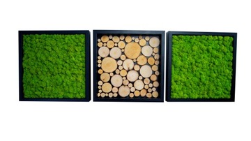 Картина глубокая рамка мох chrobotekcolors 30х30 см рамка со мхом